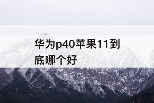 华为p40苹果11到底哪个好