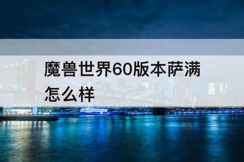 魔兽世界60版本萨满怎么样