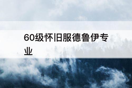 60级怀旧服德鲁伊专业