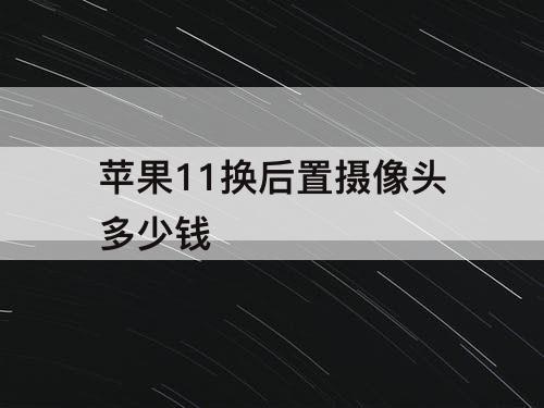 苹果11换后置摄像头多少钱