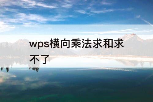 wps横向乘法求和求不了