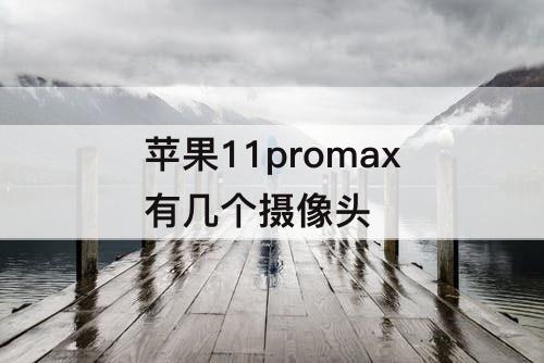 苹果11promax有几个摄像头