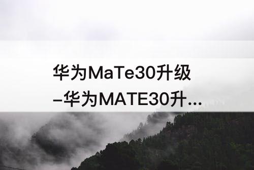 华为MaTe30升级-华为MATE30升级鸿蒙系统后怎样退回安卓系统