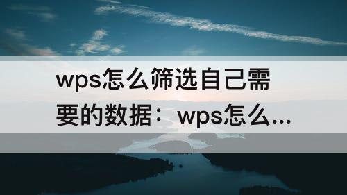 wps怎么筛选自己需要的数据：wps怎么筛选自己需要的数据收集