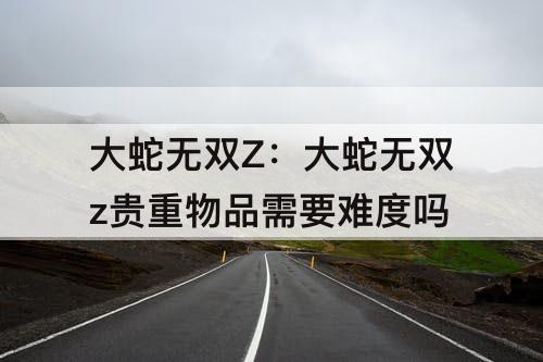 大蛇无双Z：大蛇无双z贵重物品需要难度吗