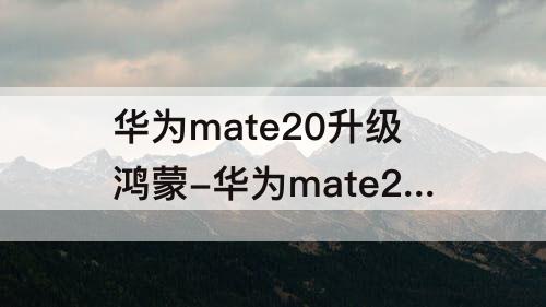 华为mate20升级鸿蒙-华为mate20升级鸿蒙3.0后怎么样