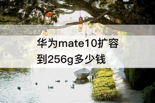 华为mate10扩容到256g多少钱