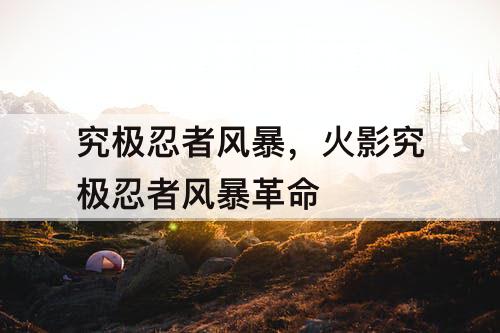 究极忍者风暴，火影究极忍者风暴革命