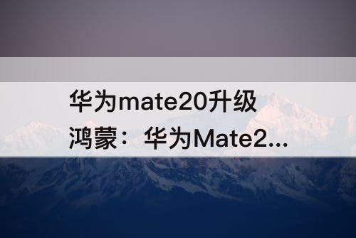 华为mate20升级鸿蒙：华为Mate20升级鸿蒙系统后换不出小艺了