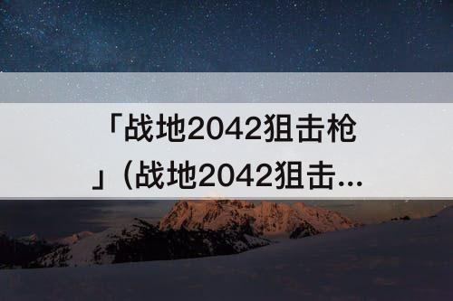 「战地2042狙击枪」(战地2042狙击枪解锁等级)