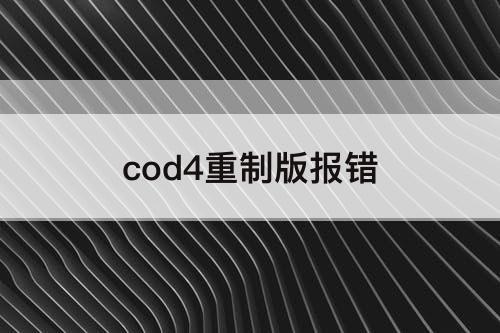 cod4重制版报错