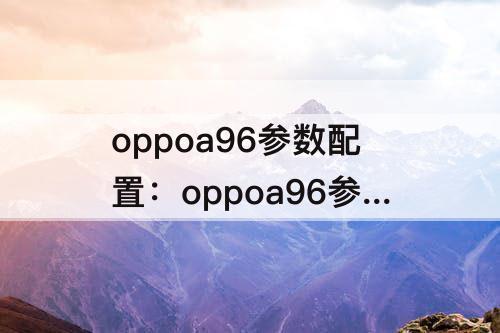 oppoa96参数配置：oppoa96参数配置详情12+256