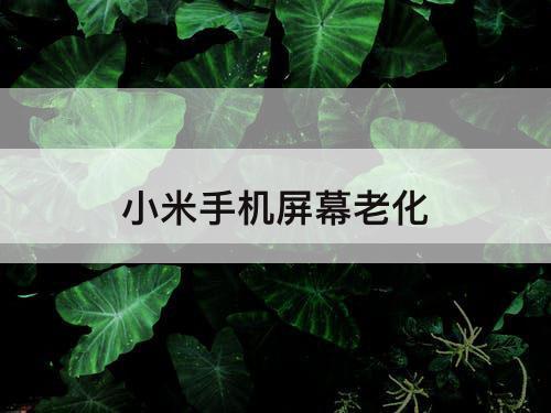 小米手机屏幕老化