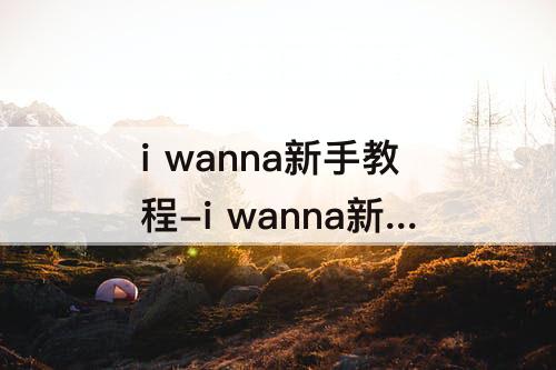 i wanna新手教程-i wanna新手教程金币