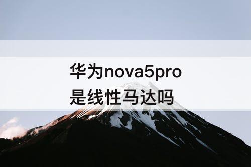 华为nova5pro是线性马达吗