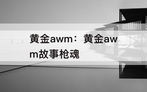 黄金awm：黄金awm故事枪魂